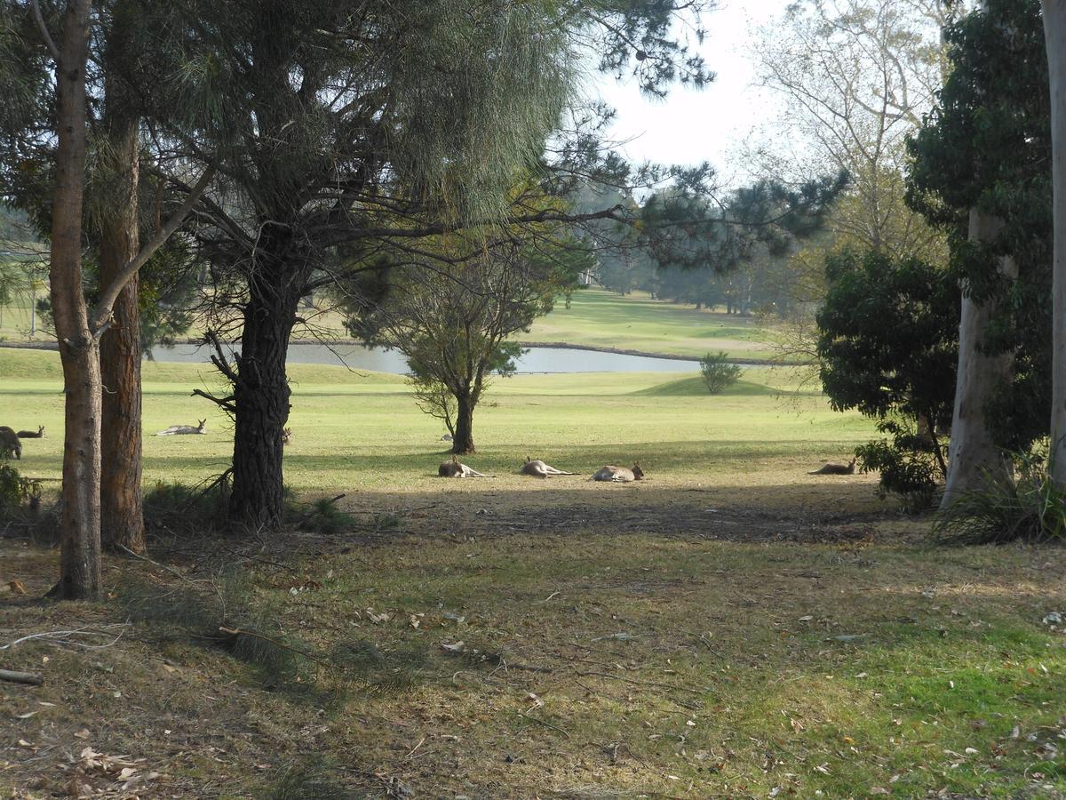 Golf View Motel Sanctuary Point Exterior foto